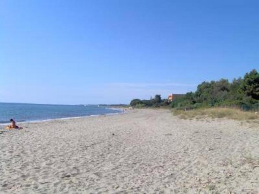 Appartement T2 Bord De Mer - Maria Beach Santa-Lucia-di-Moriani Ngoại thất bức ảnh
